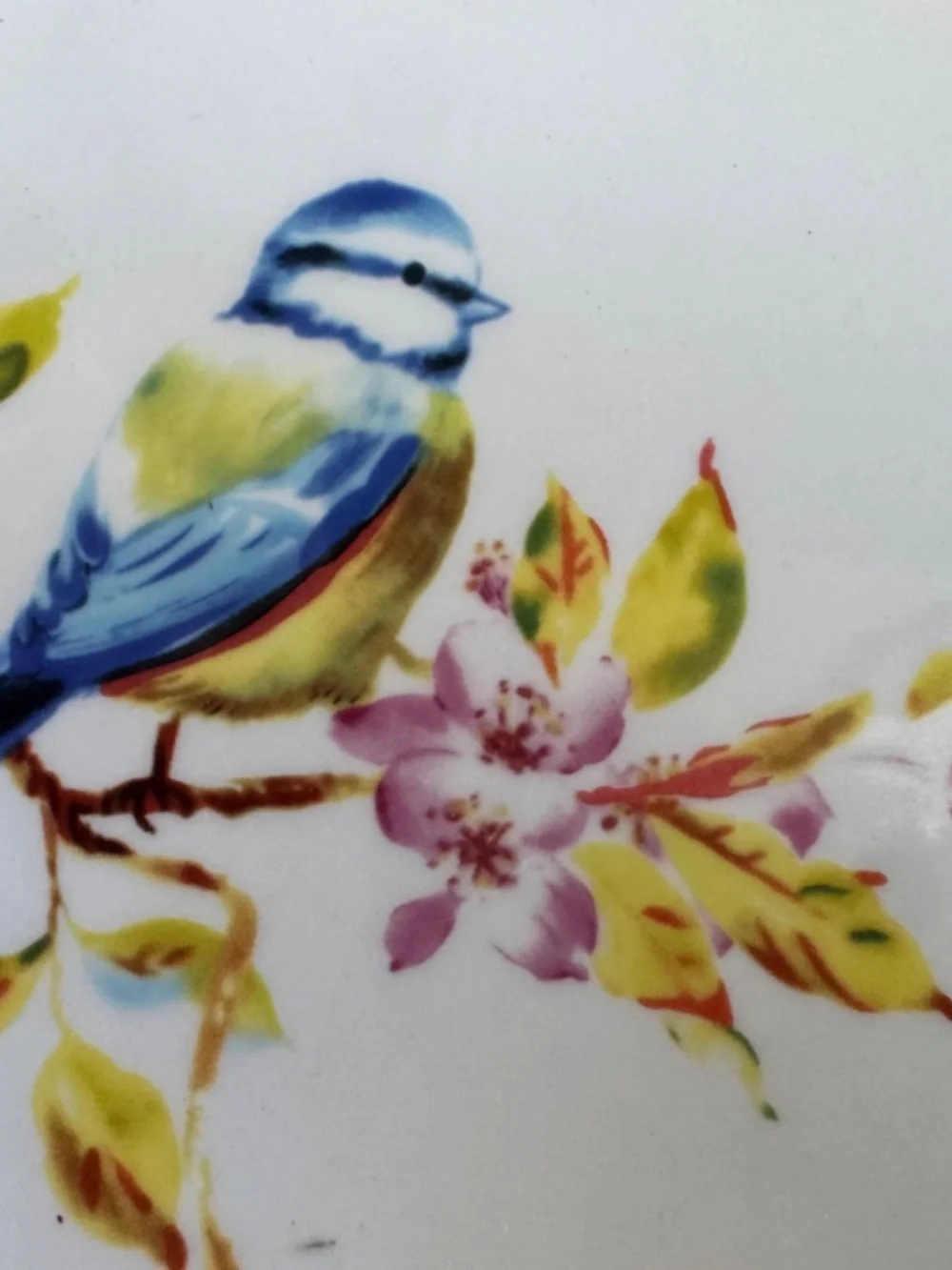 Sweet Pier 1 Imports Blue Bird Cherry Blossoms Appetizer Side Dish Plate